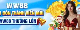 ww88hinfo