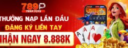 789ptoys