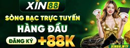xin8891com