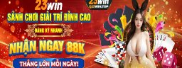 q23wintop
