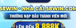 58wingcom