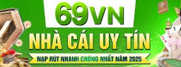 869vnscom