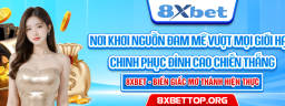 8xbettoporg