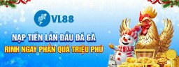 vl8833com