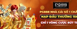 pg88cdncom