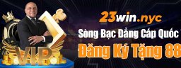 23winnyc