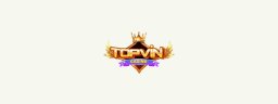 topvinbid