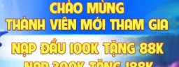 ww88tbcom