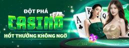 zbet8zcom