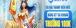 bet8819net