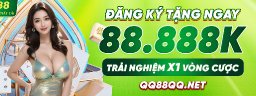 qq88qqnet