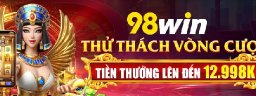 v98winbiz