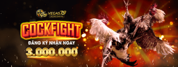 vegas792com