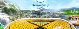 reviewdalat524