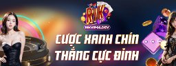 rikvip66dev