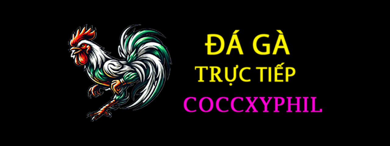dagacuadaococcxy