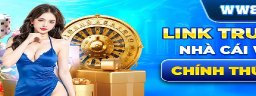 WW88001com