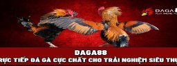 Daga88io