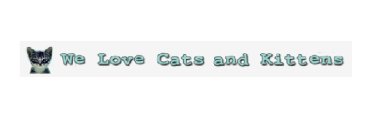 welovecatsandkittens