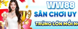 ww88c1com