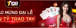 tt128fptcom
