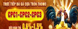 dagatructiep247tv
