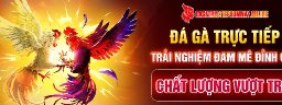dagatructiep22