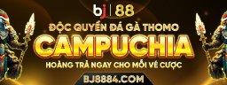 bj8884com1