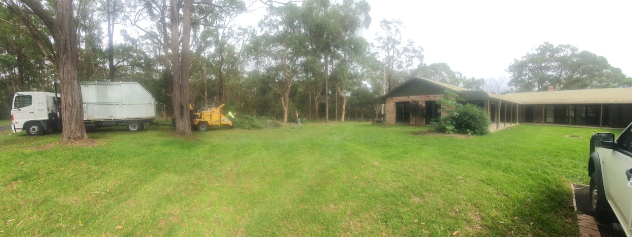 Alex Tree and Garden Services