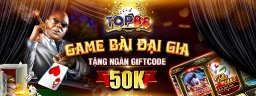top88viporg1