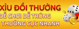 taixiudoithuongnet