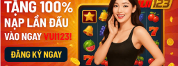 vui123casino