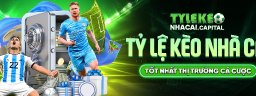 tylekeonhacaica