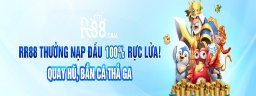 r88cam
