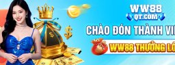 ww88qtcom