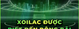 xoilactvnvncctha