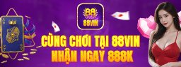 88vinuk