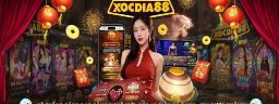 xocdia88feedback