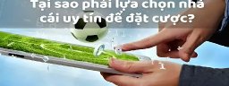 nhacaiuytinsterlingservices