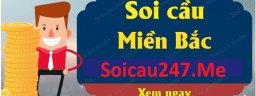 soicau247me1