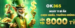 ook3566com