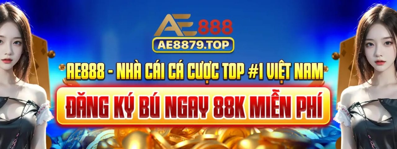 ae8879top