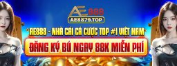 ae8879top