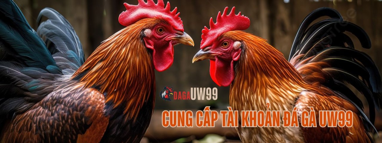 dagauw99vncom