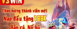 VSWINVin
