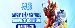 rr88forex