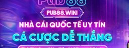 pub88wiki