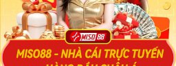 1miso88nl
