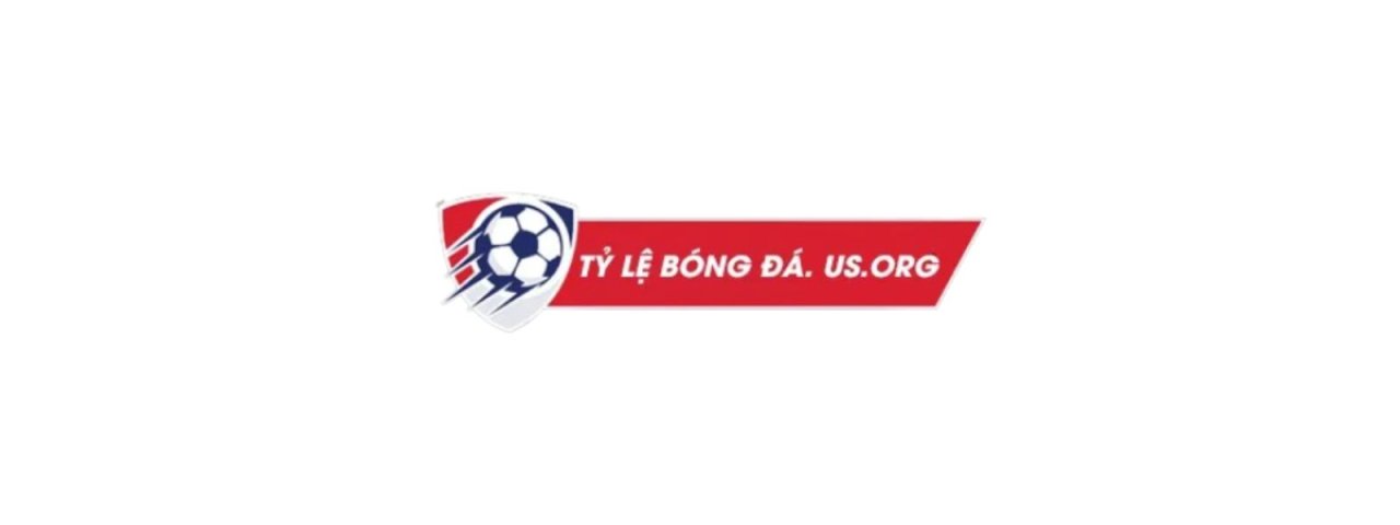 tylebongdausorg