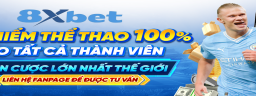 8XBETTRun